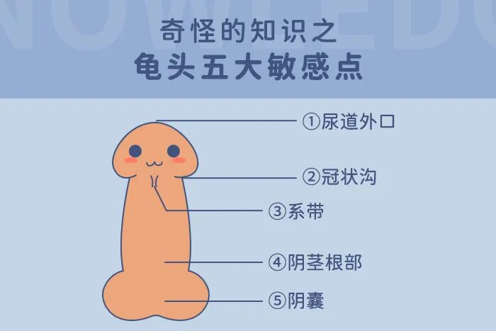 如何选择适合自己的飞机杯