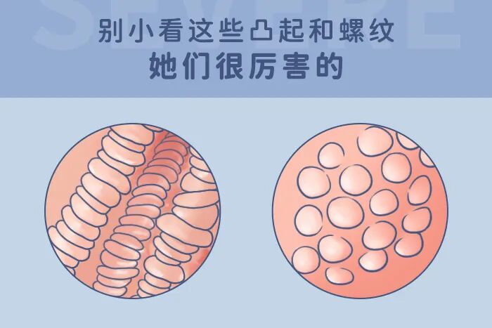 如何选择适合自己的飞机杯