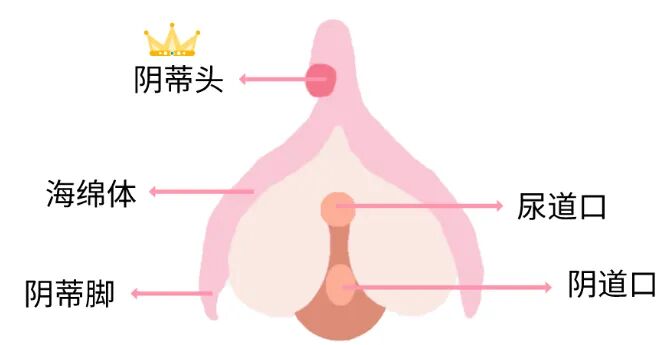 如何用手让她更舒服？手爱技巧来了