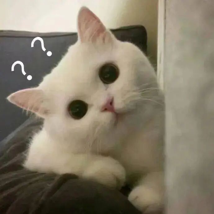 一组沙雕问号表情包