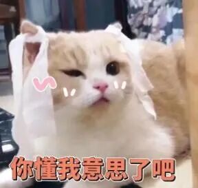 按小豆豆无感,可能你的打开方式不对